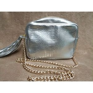 NWOT Victoria's Secret,  Silver & Gold Purse
